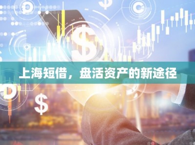 上海短借,盘活资产的新途径