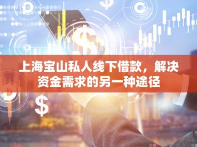 上海宝山私人线下借款，解决资金需求的另一种途径