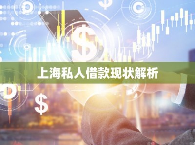 上海私人借款现状解析