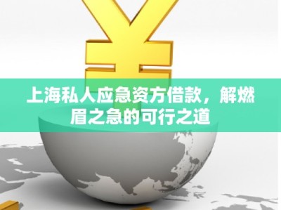 上海私人应急资方借款,解燃眉之急的可行之道