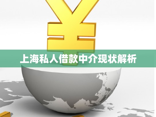 上海私人借款中介现状解析