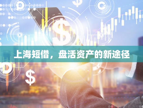 上海短借，盘活资产的新途径