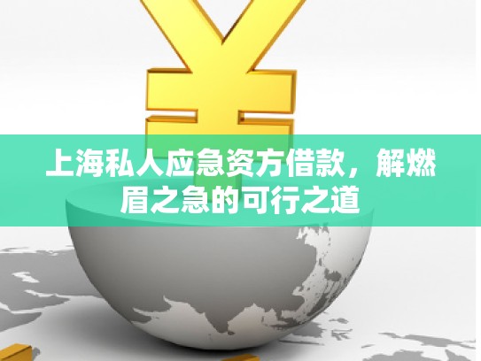 上海私人应急资方借款，解燃眉之急的可行之道