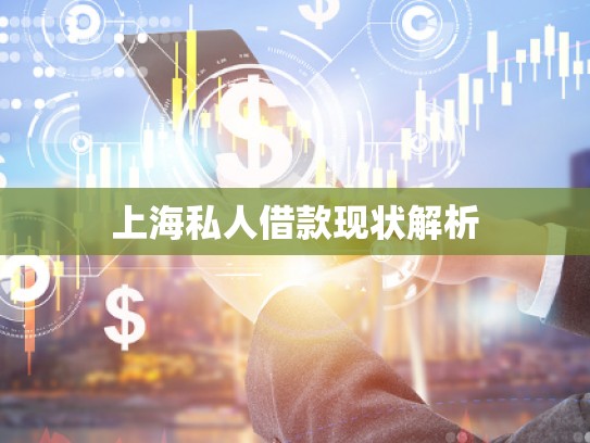 上海私人借款现状解析